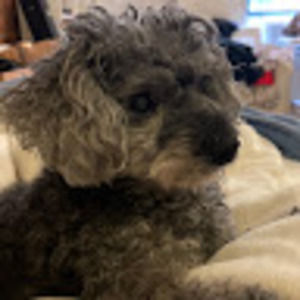 Meet your Posher, Justine